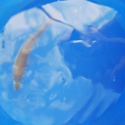 台風後はどうかな？