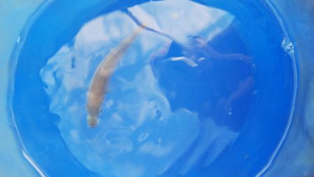 台風後はどうかな？