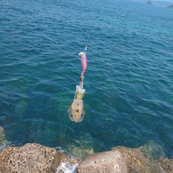 釣り場清掃からのエギング