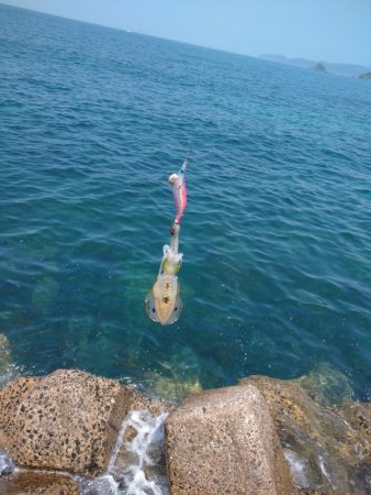 釣り場清掃からのエギング