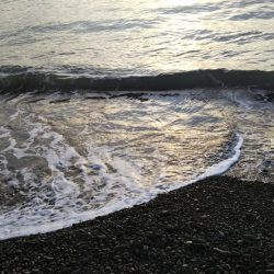 メッキアジ釣行