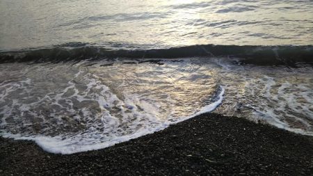 メッキアジ釣行