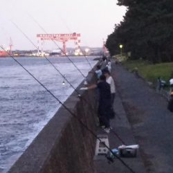 夕マヅメ陸っぱりジギング