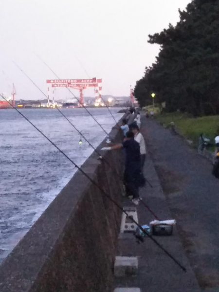 夕マヅメ陸っぱりジギング