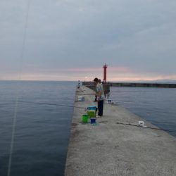 洲本川のキス情報