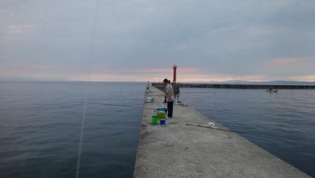 洲本川のキス情報