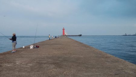 播磨新島のキス情報