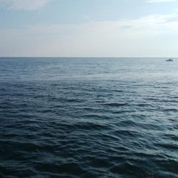 午後から播磨新島へキス釣査