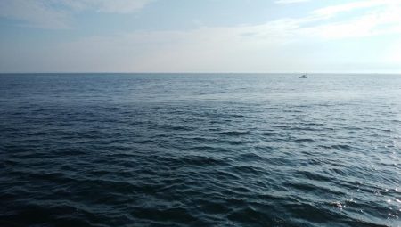 午後から播磨新島へキス釣査