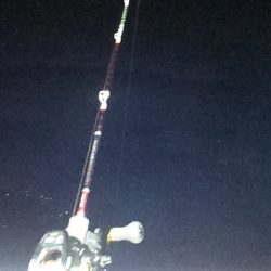 まだ大剣釣れるぞ～