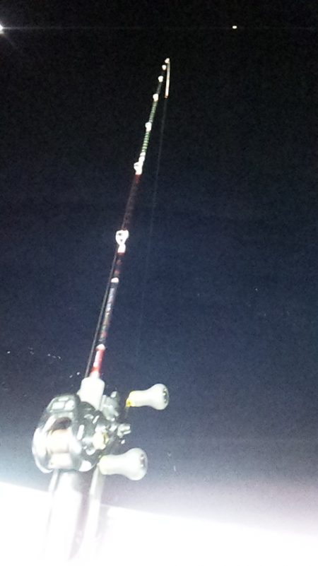 まだ大剣釣れるぞ～