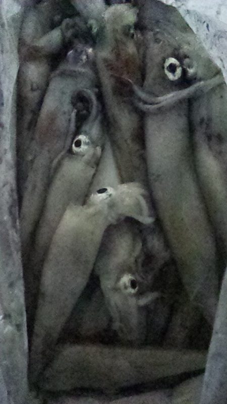 今季初100杯オーバー