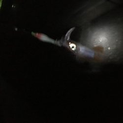 なかなか厳しい