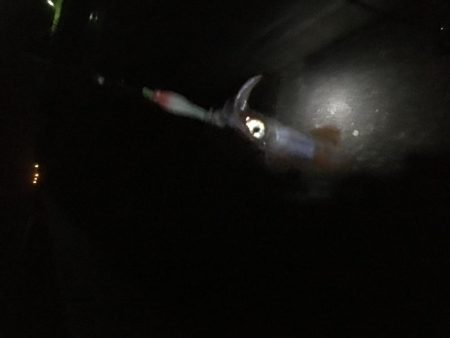 なかなか厳しい