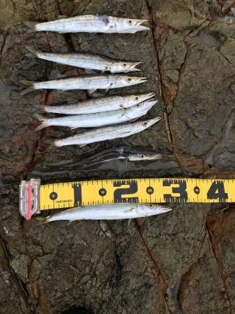 夏のロックショアキャスティング