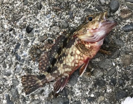 サイズアップメッキ！