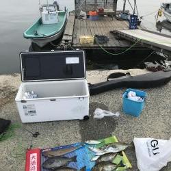 みんなが気になる筏釣り