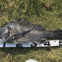 イチノ兄弟、釣果！