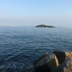 フルドラグがでていきました！