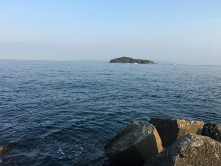 フルドラグがでていきました！