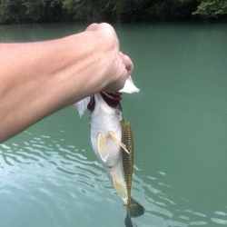 釣行2日目！サイズ伸びず