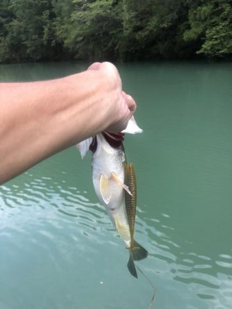 釣行2日目！サイズ伸びず