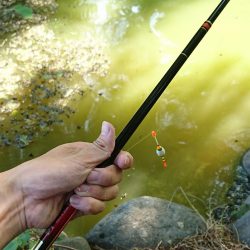天満大池公園・小物釣り