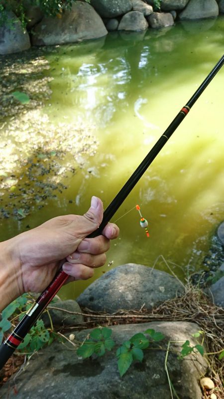 天満大池公園・小物釣り