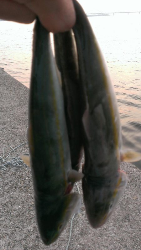 型も数も伸びず