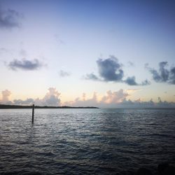 久しぶりにポッパーでの釣果