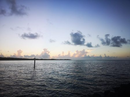 久しぶりにポッパーでの釣果