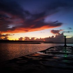 ポッパーは楽しい