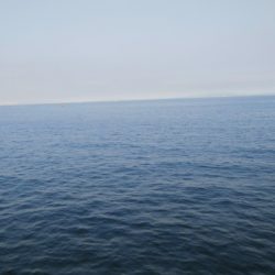 今日は急遽ガシリング