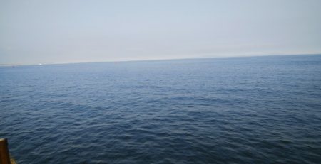 今日は急遽ガシリング