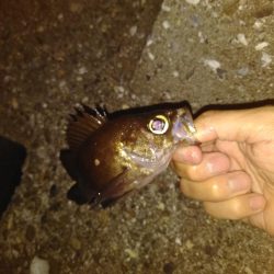 久々の探り釣り