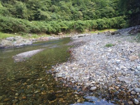 上桂川花背での鮎釣り