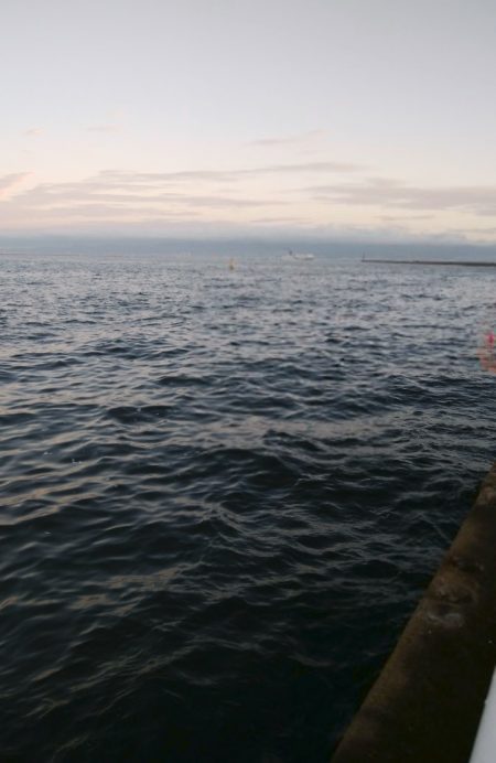 仕事前にツバス釣り