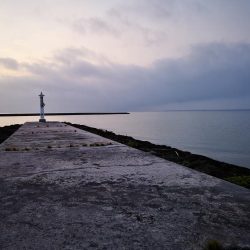 台風明けやっと釣れました