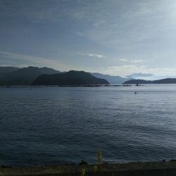 白杉にて投げ釣り（夜釣り）