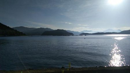 白杉にて投げ釣り（夜釣り）