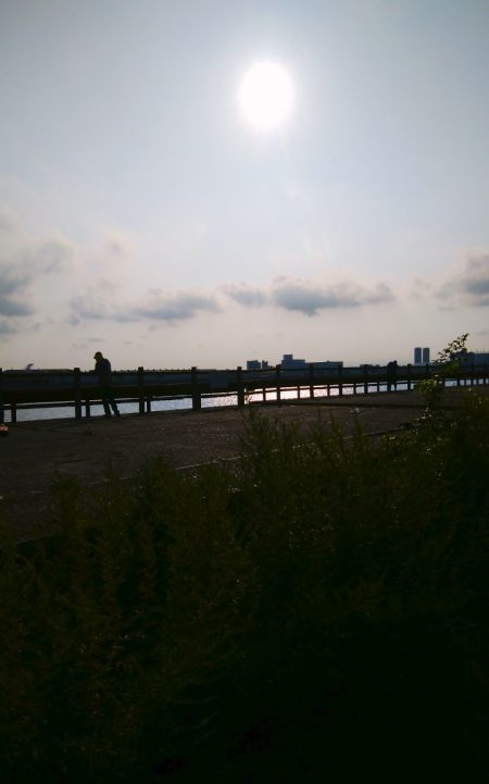 今日もハマチサイズ求めて