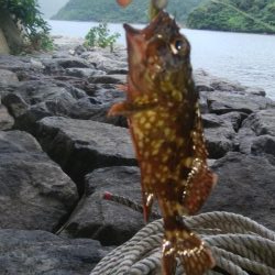 台風前に穴釣り