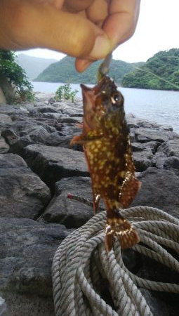 台風前に穴釣り