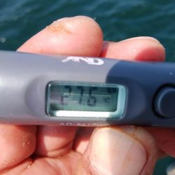 ２日続け好釣果でした