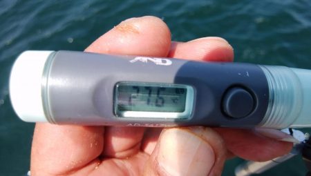 ２日続け好釣果でした