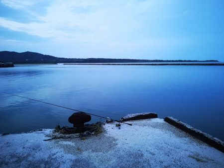 西表島ではレアな太刀魚です。
