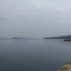 投げ釣りとショアジギングでアコウ