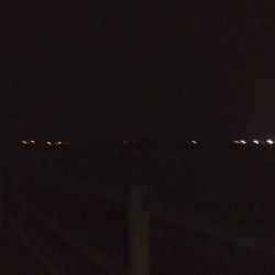 ツバッシング＆タチウオ調査