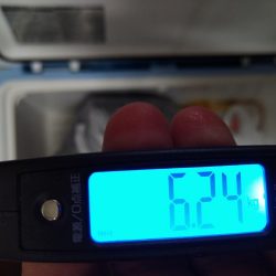 シーズン終盤の船タコ釣り