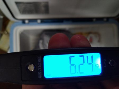 シーズン終盤の船タコ釣り